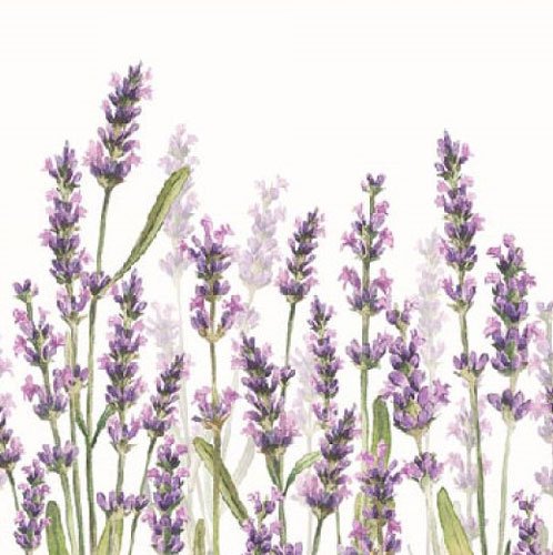 Lavendelwiese Servietten 33x33 cm