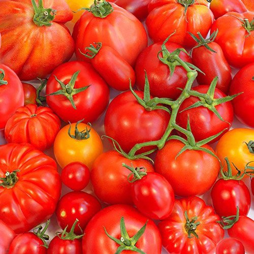Tomaten Servietten 33x33 cm
