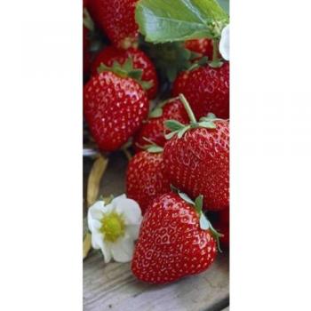 Erdbeeren – Buffetservietten 8,25x16,5 cm