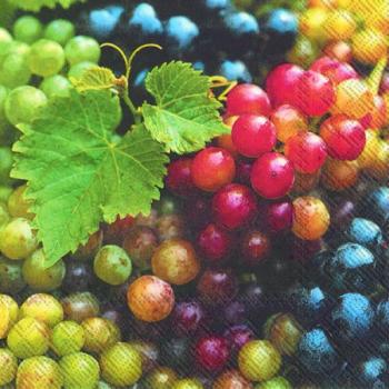 Grapes Weintrauben - Traubenservietten 33x33 cm