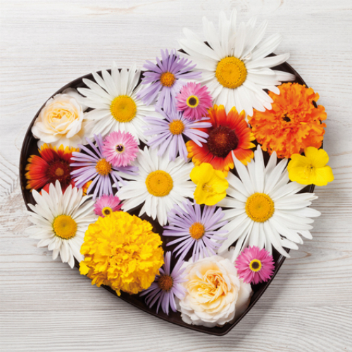 Blumen Herz Frühling - Servietten 33x33 cm