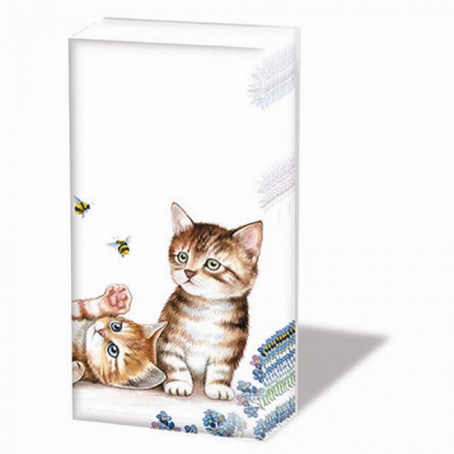 Cats and Bees - Taschentücher