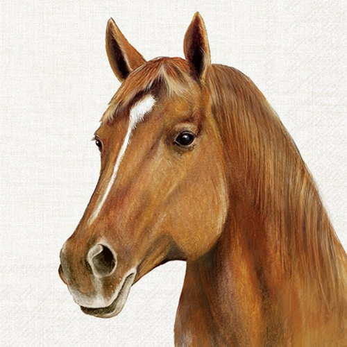Farmtier Pferd  - Servietten 33x33cm