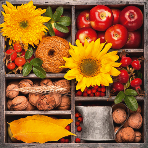 Gemüse und Obst Kiste - Servietten 24x24 cm