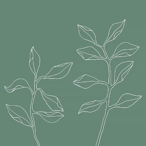 Natural Plant One Line  - Servietten 33x33 cm