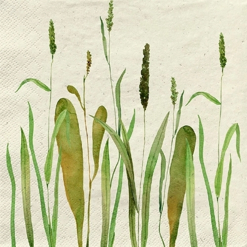 Seegras  - Grasservietten 33x33 cm