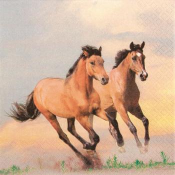 Wild Horses Pferde - Servietten 33x33 cm